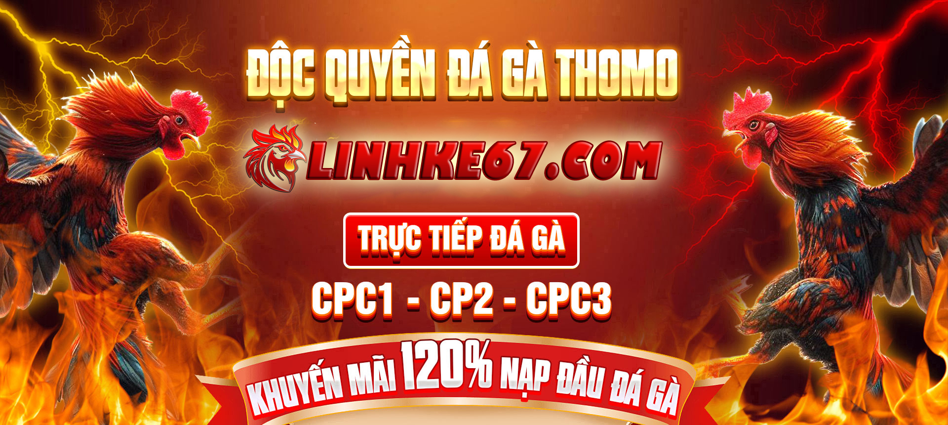 banner-linhke67-com